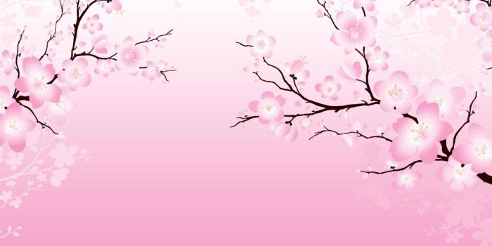 1280x800 Cherry Blossom Art Wallpapers - Top Free Cherry Blossom Art