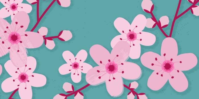 1080x1920 March 2016 Cherry Blossom Calendar Wallpaper - Sarah Hearts