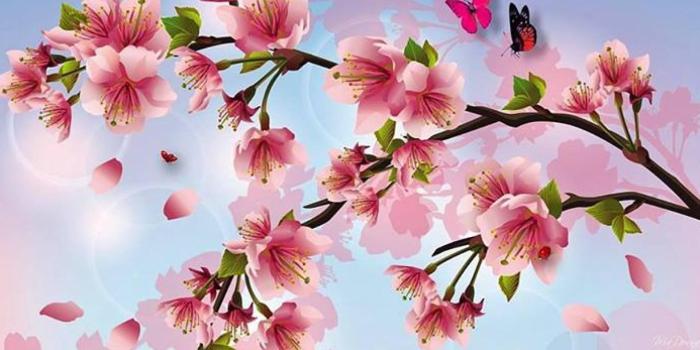 1920x1080 Japanese Cherry Blossom Art Wallpapers - Top Free Japanese Cherry