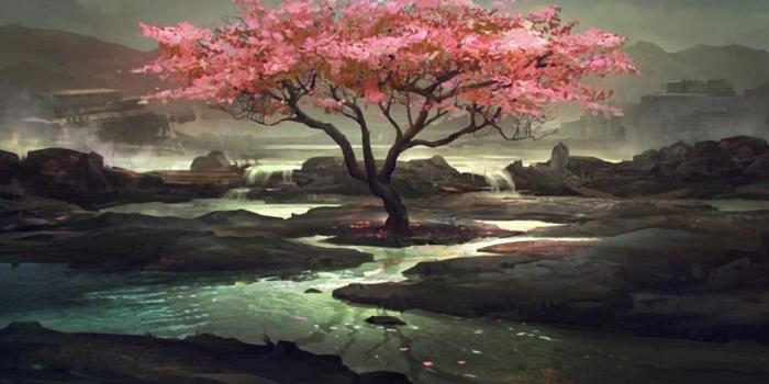 1280x800 Cherry blossom tree digital wallpaper, fantasy art, cherry blossom