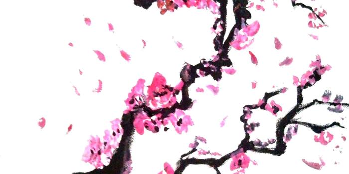 1662x2136 Cherry Blossom Wallpaper Art - Clipart library - Clip Art Library