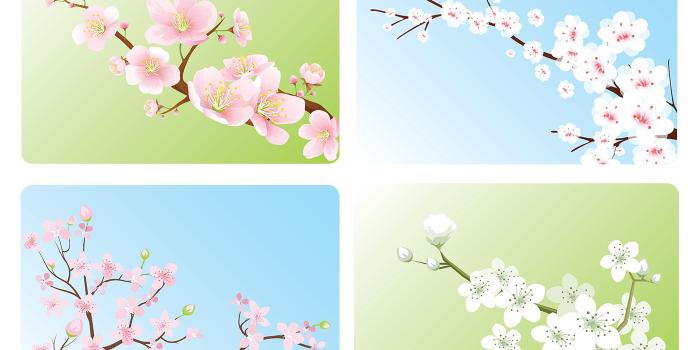 1400x980 Cherry Blossom Wallpaper Vector Pack - Download Free Vector Art