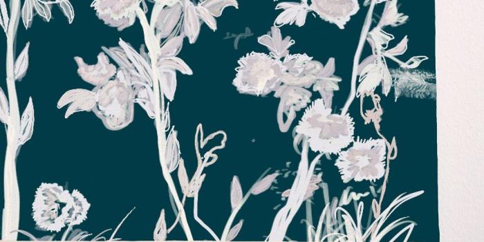 1060x1061 Cherry Blossom Night Watch — Wallpaper