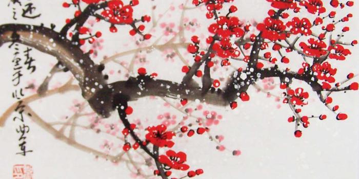 1491x1449 Cherry Blossoms Painting Lovely Cherry Blossom Paintings original