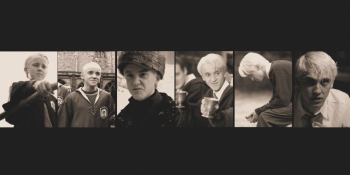 1241x776 Images For > Draco Malfoy Wallpaper - Harry Potter Und Der Orden Des