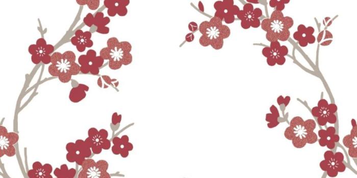 920x940 Dreamy Fantasy Cherry Blossoms Pink Trees Artwork Wallpaper