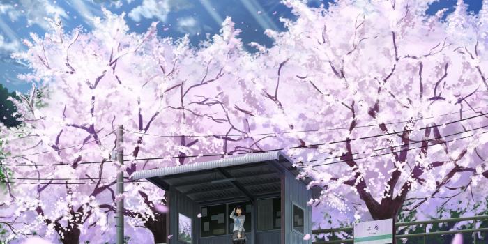 3840x2160 Wallpaper anime, girl, cherry, 4K, Art Wallpaper Download - High