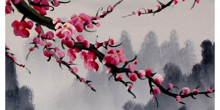 840x1240 Get 413+ cherry blossom wallpaper HD Wallpaper [] www.interest.pics