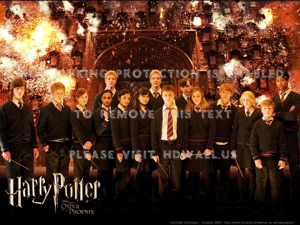 1024x768 harry potter and the order of phoenix luna lovegood hermione granger