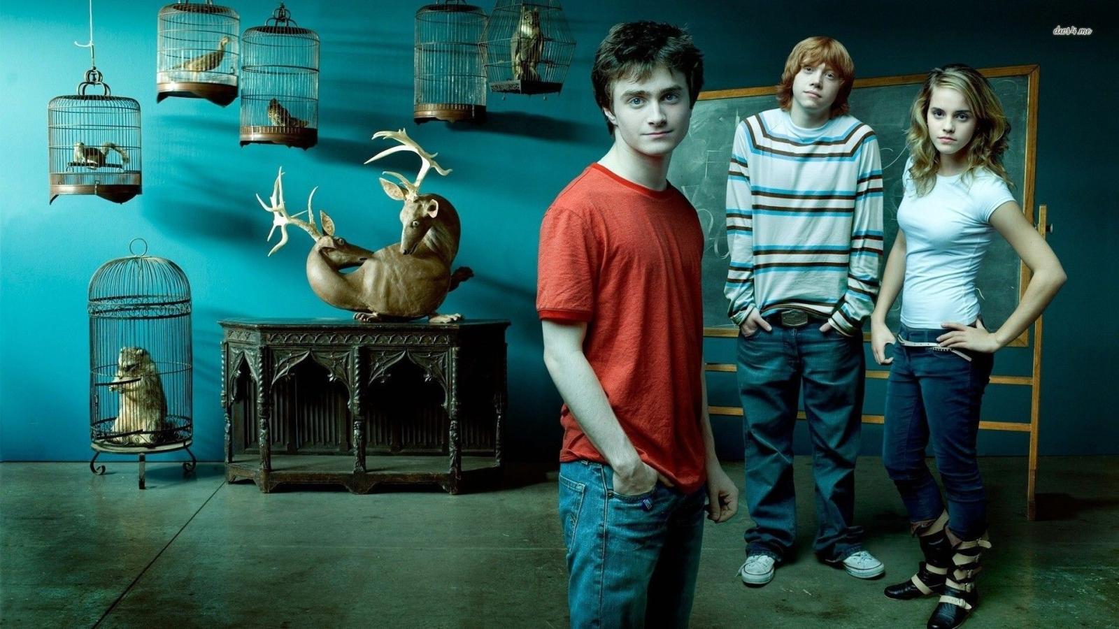 1920x1080 Harry, Ron and Hermione - Harry Potter wallpaper - Movie wallpapers