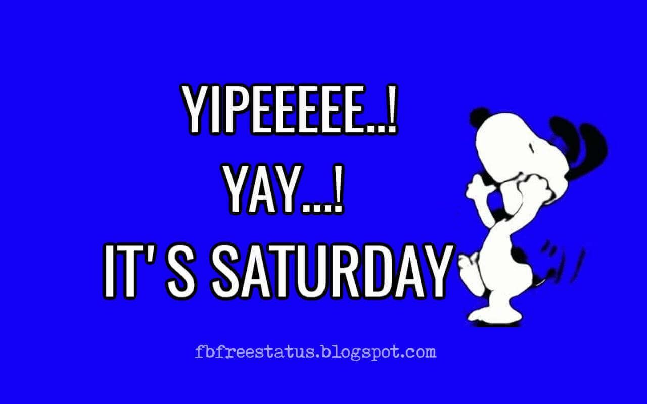 1280x800 Funny Saturday Quotes That Will Make You LOL So Hard | Saturday