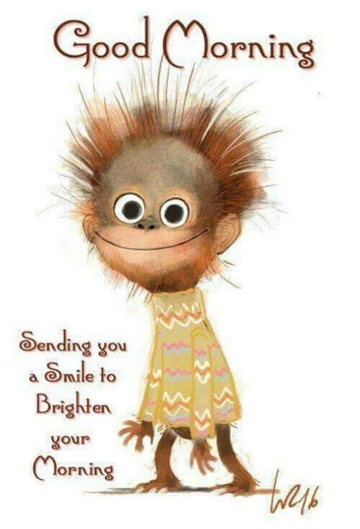 735x1080 35 Funny Good Morning Quotes With Images 20 | Verses | Funny good