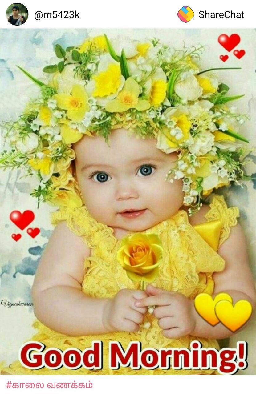 831x1280 Good Morning Funny Images In Tamil | Best Funny Images