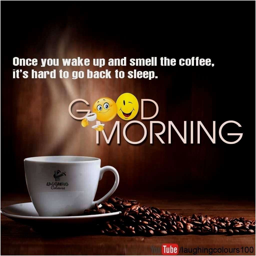 1024x1024 Top Humor Good Morning Quotes Funny - good quotes