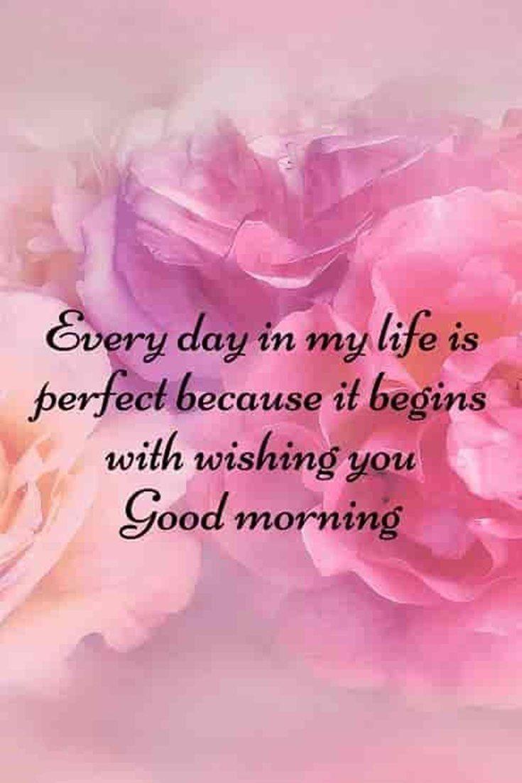 735x1102 30+ Inspiring Good Morning Quotes with Beautiful Images