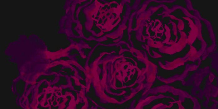 1242x2208 Black Rose Watercolor iPhone Wallpaper @PanPins | iPhone Wallpapers
