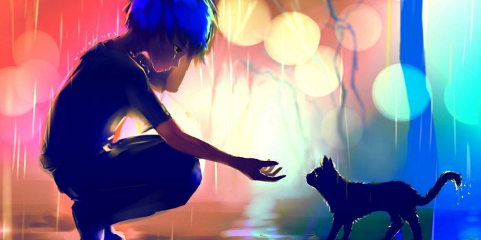 1680x1050 Art Boy Cat Rain Anime | Favorite Japanese Anime Stuff | Anime boys