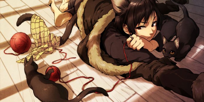 1813x1240 all male animal animal ears barefoot black hair cat catboy durarara