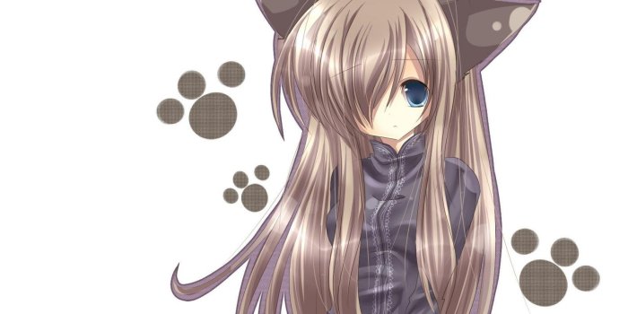 2048x2048 Neko Boy Wallpaper (58+ images)