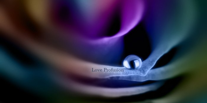 1920x1080 Black Rose, Petal, Drops, Violet, Rose Full HD, HDTV, 1080p 16:9