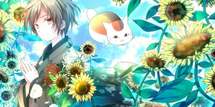 1244x700 Anime cat boy sunflower summer wallpaper | 1920x1080 | 1025945