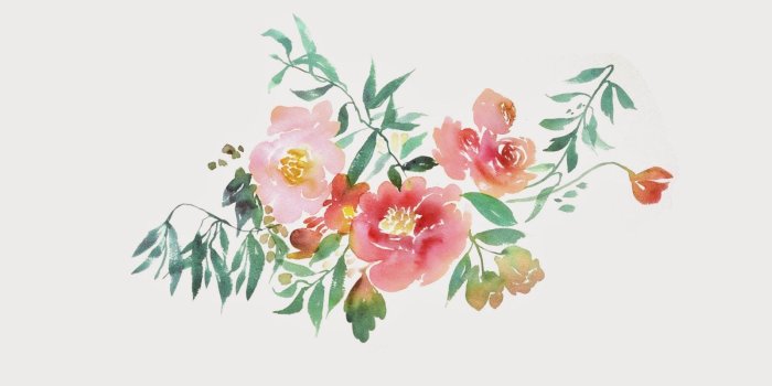 1600x1001 50+ Watercolor Flower Border Desktop Wallpapers - Download at