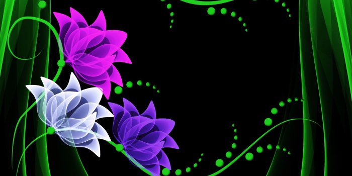 1920x1200 Black White And Pink Flower Wallpaper - Flowers Healthy