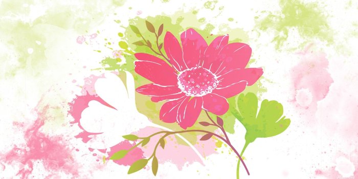 1920x1080 Flowers: Splatter Spring Watercolor Pink Blossoms Flowers Floral