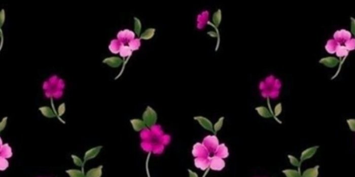 736x1308 Black And Pink Flowers Wallpaper - Flowers Healthy