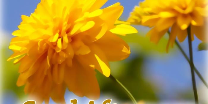 1028x800 Good Afternoon Images - Oye Shayari