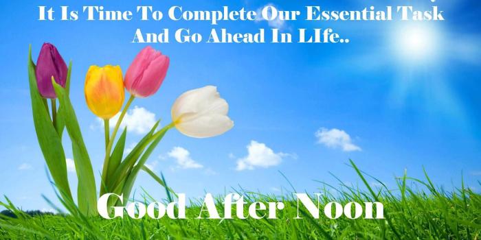 1920x1200 54 Best Good Afternoon Wishes Image & Quotes Pictures | Picsmine