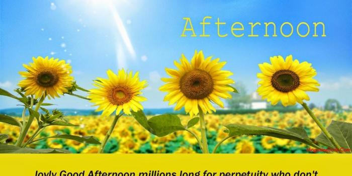 1366x1027 Good afternoon poems, quotes, images wallpapers