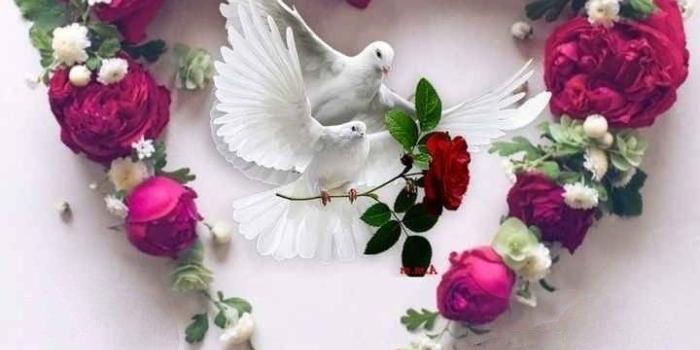 720x1110 Good Morning Wednesday Greetings | QUOTES | Good morning wednesday