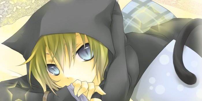 1024x768 all male animal ears blonde hair blue eyes catboy hoodie kagamine