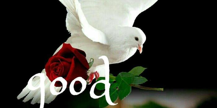 1024x1596 Good afternoon sister and all,have a nice time 