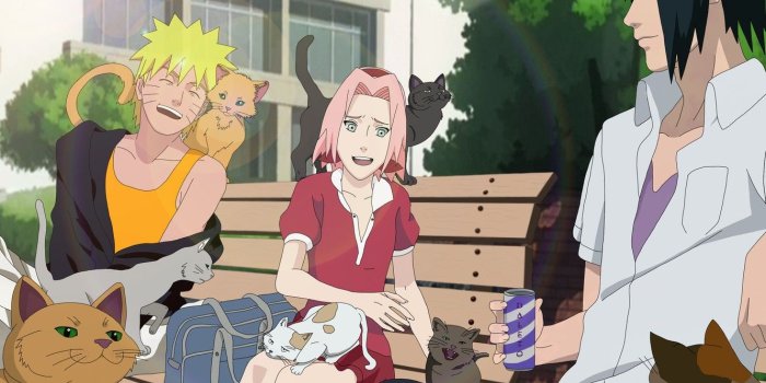 1332x850 Wallpaper girl, game, Sasuke, Naruto, Sakura, nothing, anime, cat