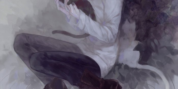 1920x1200 Download 1920x1200 Anime Boy, Cute, Neko, Cat, Brown Hair Wallpapers