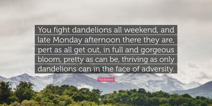 3840x2160 Hal Borland Quote: “You fight dandelions all weekend, and late