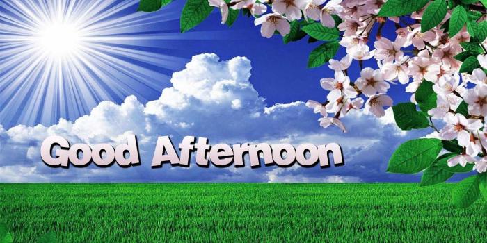 1366x734 123+ Good Afternoon Images Pictures For Whatsapp