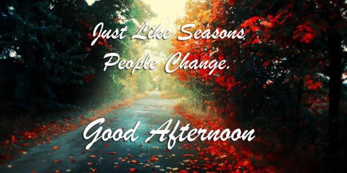 1366x768 Good Afternoon Scraps, Pictures, Images, Graphics for Myspace, Facebook