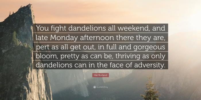 3840x2160 Hal Borland Quote: “You fight dandelions all weekend, and late