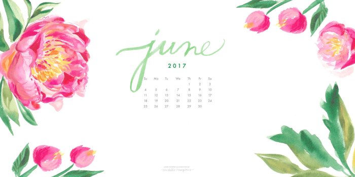 2016x1100 Floral Desktop Background ·① WallpaperTag