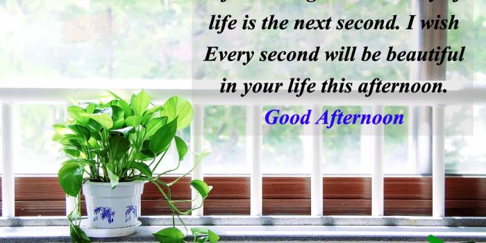1920x1261 Good Afternoon Quotes,Wishes,Message With Images,Photos (999+ New)