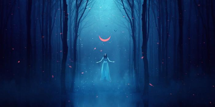 1332x850 Wallpaper Girl, Fog, Night, Trees, Forest, Dark, Fiction, A month