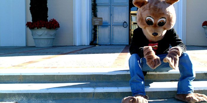 1024x768 College Dropout Bear Costume &