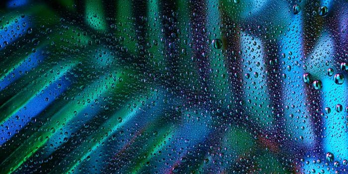 1125x2436 30+ New Cool iPhone X Wallpapers & Backgrounds to freshen up your screen