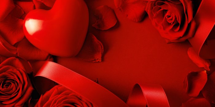 5616x3744 heart, #love, #valentines Day, #ribbon, #rose, #romantic, - Heart