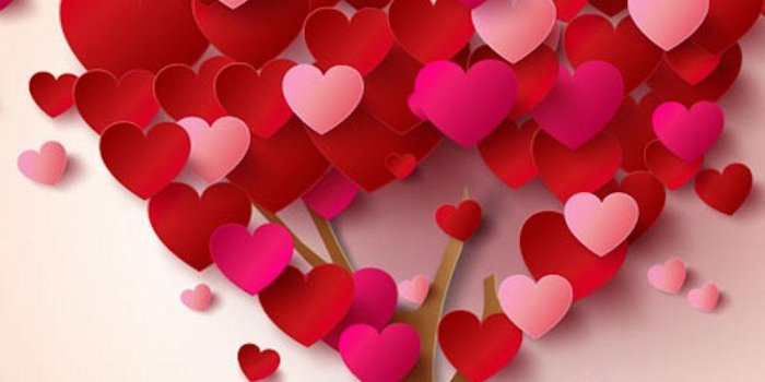 800x1280 HD Romantic Hearts Wallpaper for Android - APK Download
