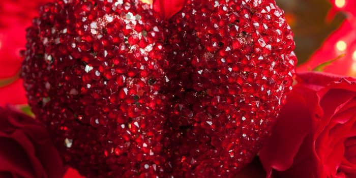 2048x2048 Valentine's Day Rose Heart Romance Apple iPhone 6 hd wallpapers