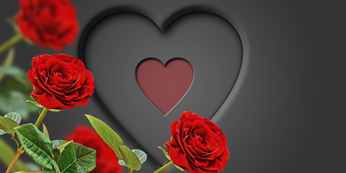 4000x3000 5046092 Romantic, Red Rose, Heart wallpaper and background